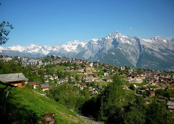 Pracondu 1 106 - Outdoor & Fun 4 Pers Nendaz